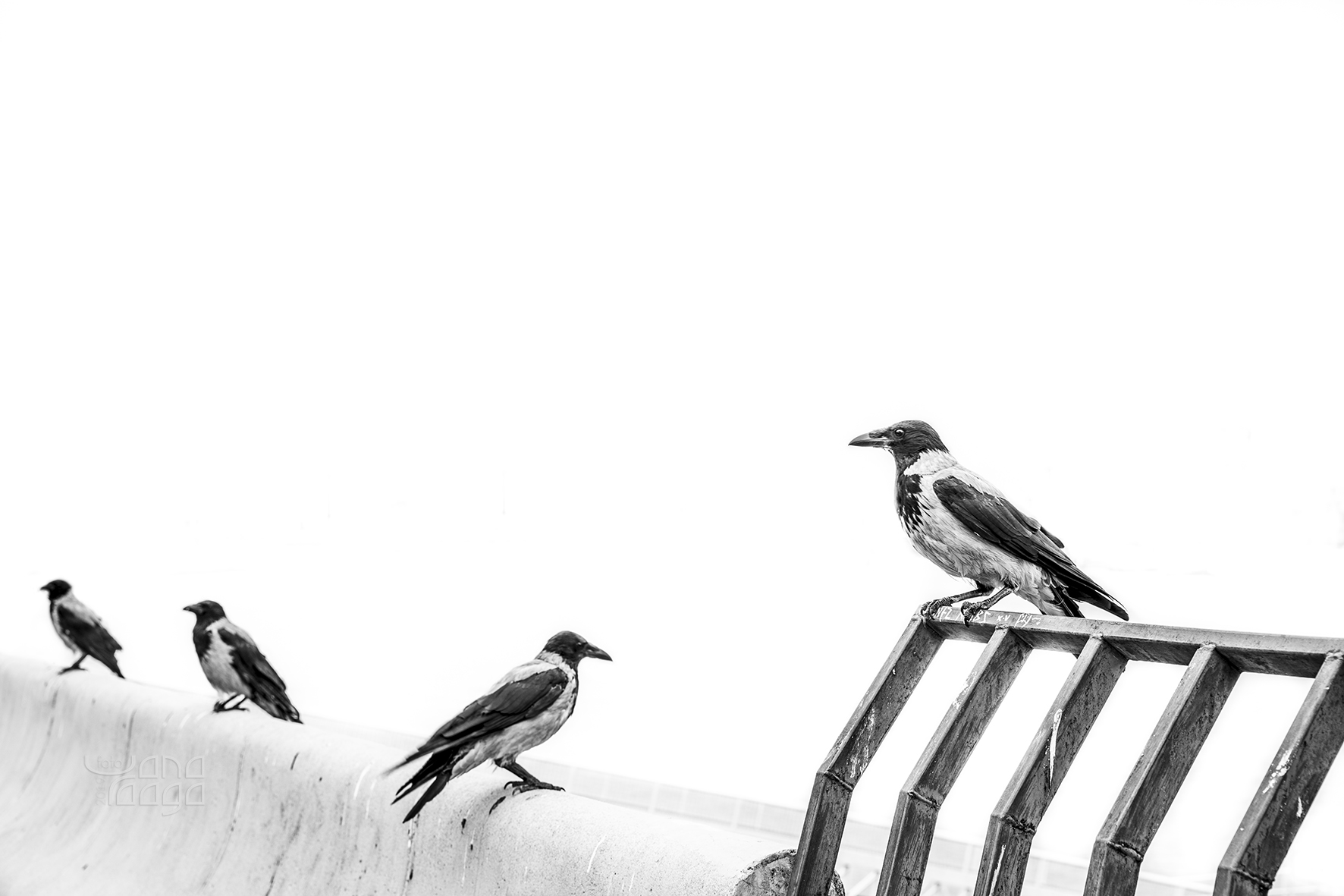 Baltas ilūzijas un inscenēts tukšums